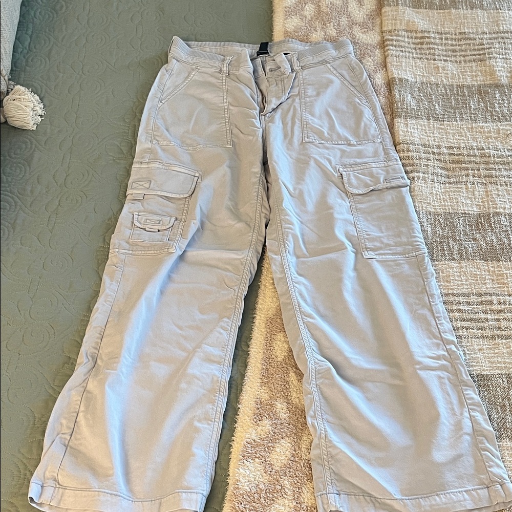 American Eagle Outfitters Light Blue Stretch Cargo Pants
